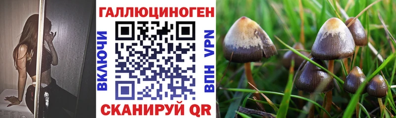 ссылка на мегу зеркало Иннополис Галлюциногенные грибы прущие грибы